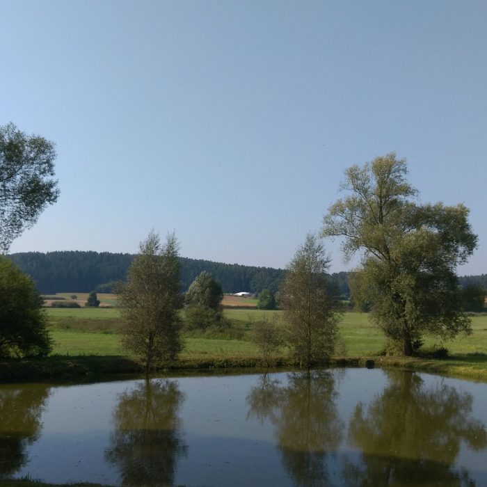 Aussicht Komfortzimmer